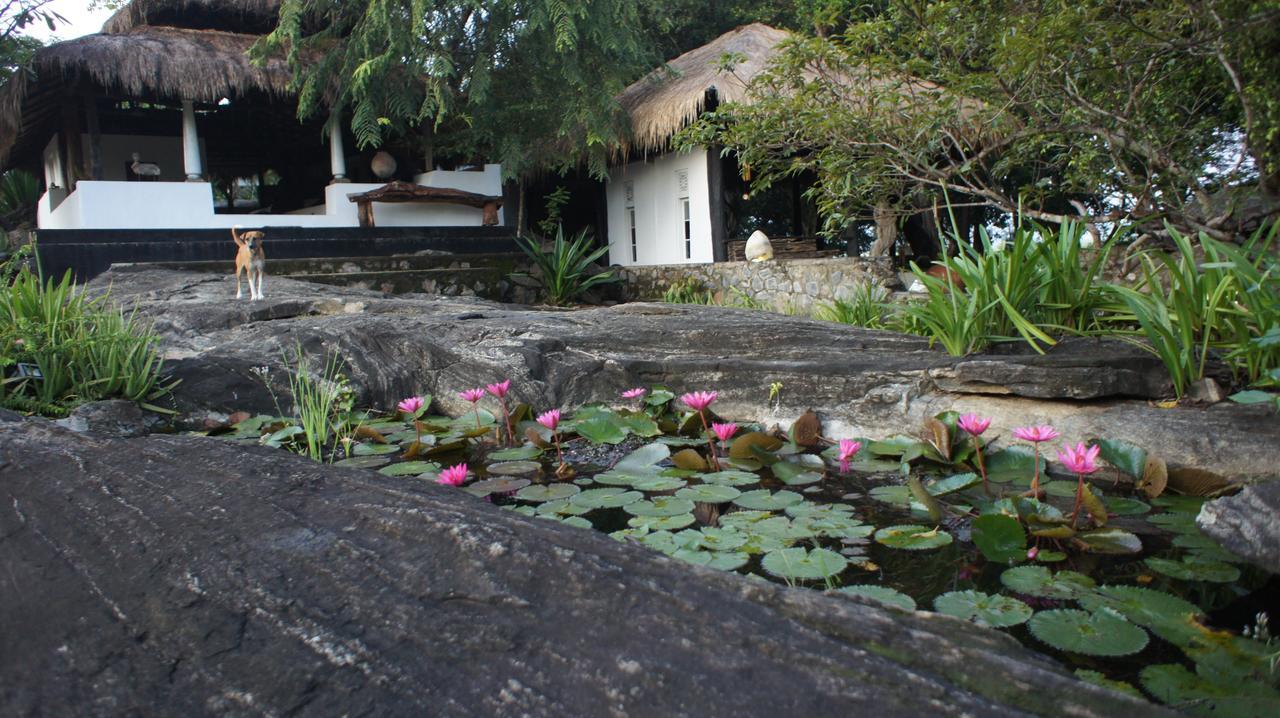 Buttala Galapita Eco Lodge المظهر الخارجي الصورة