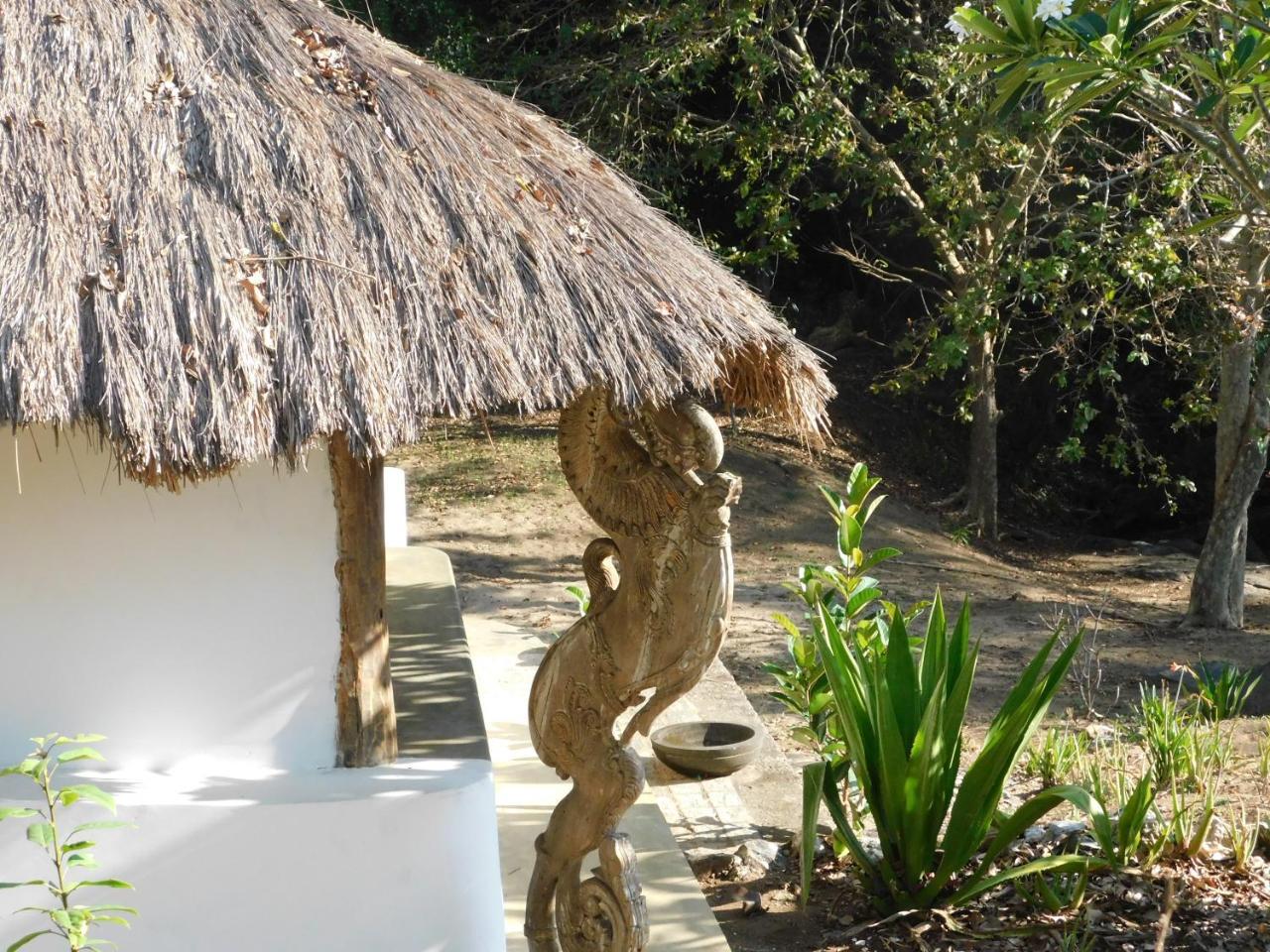 Buttala Galapita Eco Lodge المظهر الخارجي الصورة