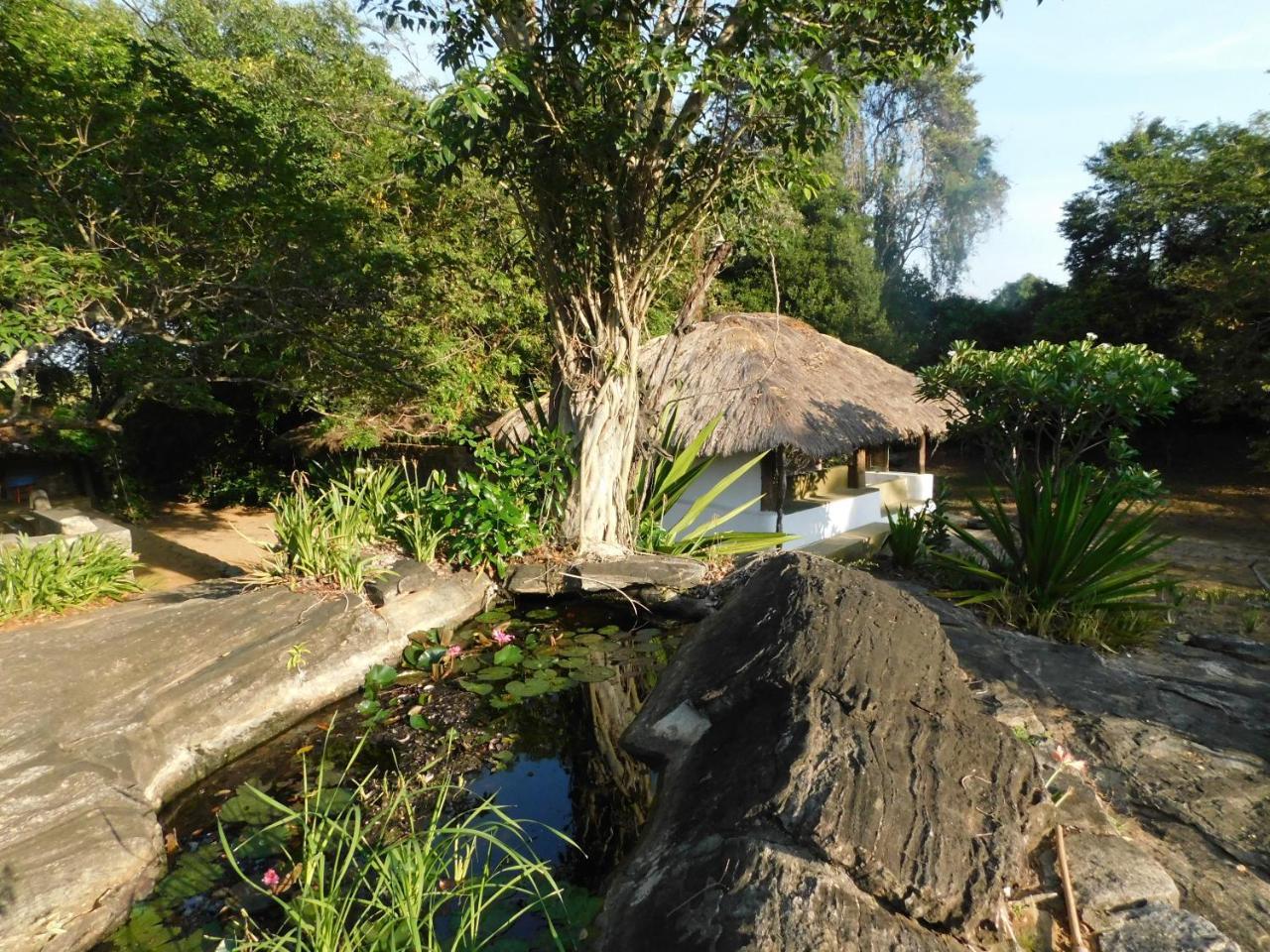 Buttala Galapita Eco Lodge المظهر الخارجي الصورة