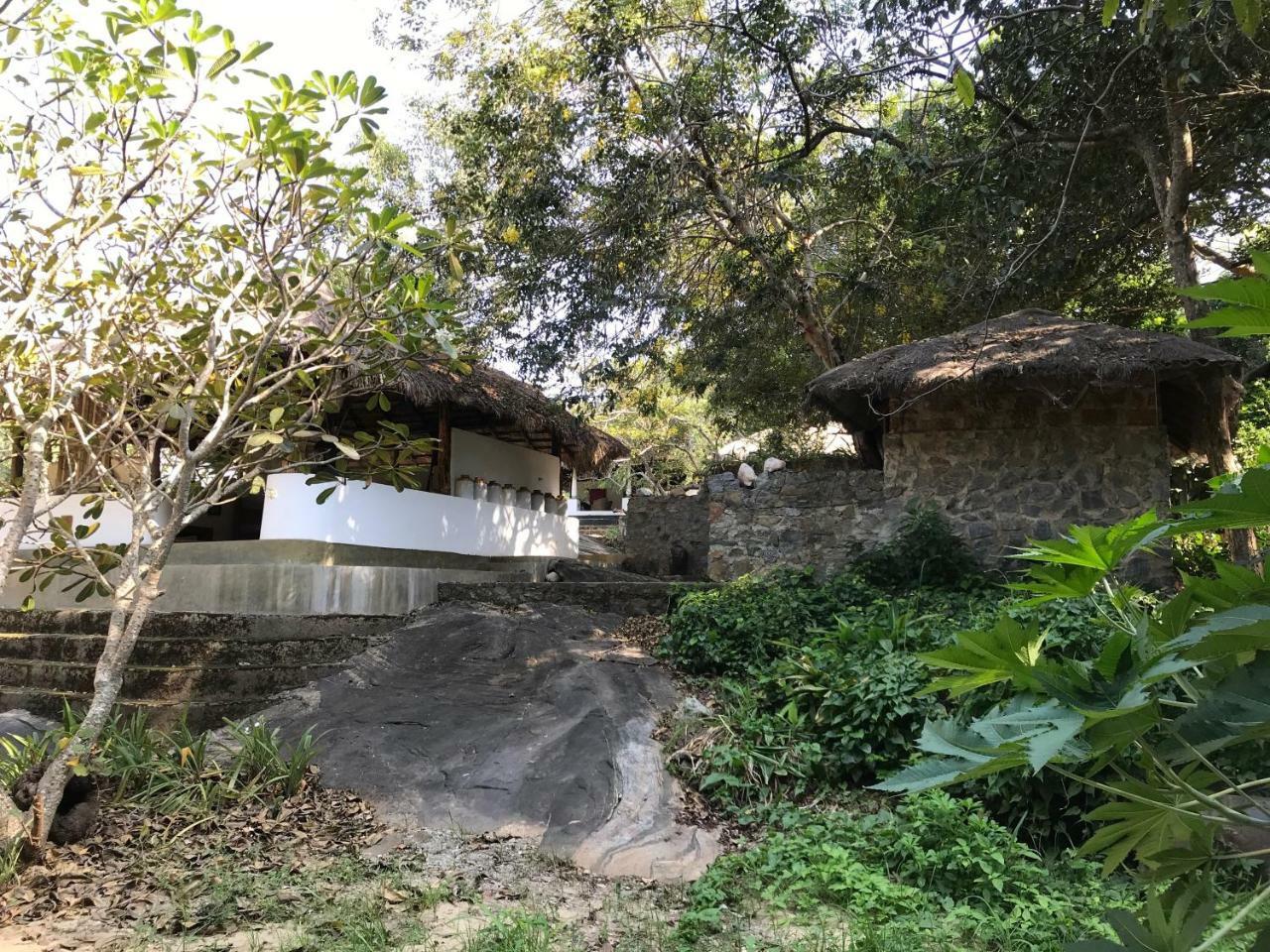Buttala Galapita Eco Lodge المظهر الخارجي الصورة