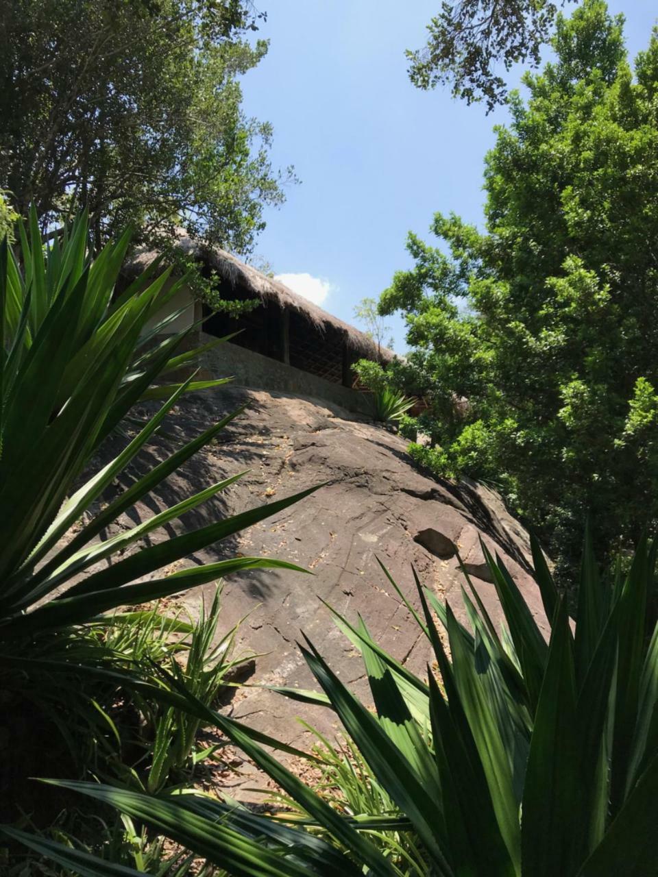 Buttala Galapita Eco Lodge المظهر الخارجي الصورة