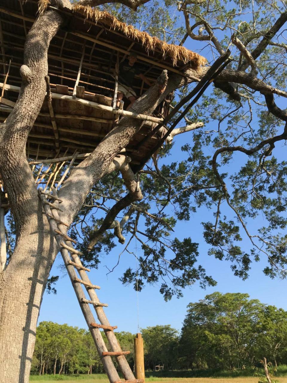 Buttala Galapita Eco Lodge المظهر الخارجي الصورة