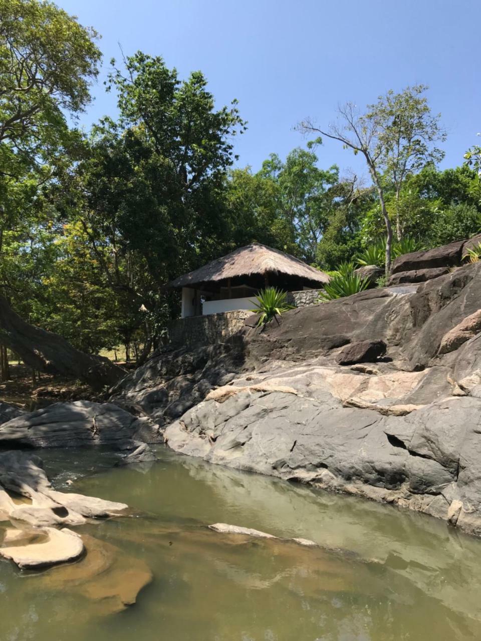 Buttala Galapita Eco Lodge المظهر الخارجي الصورة