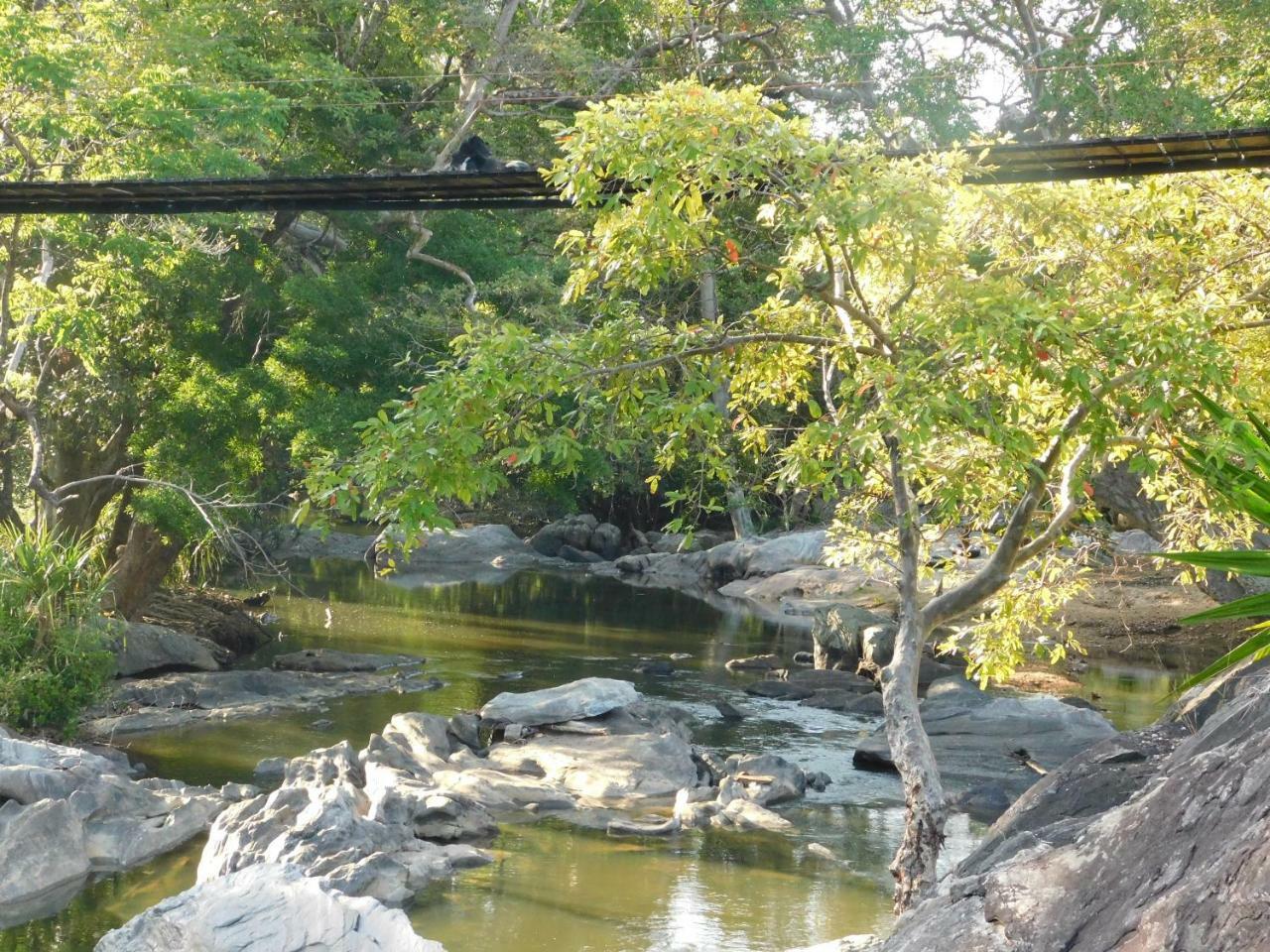 Buttala Galapita Eco Lodge المظهر الخارجي الصورة
