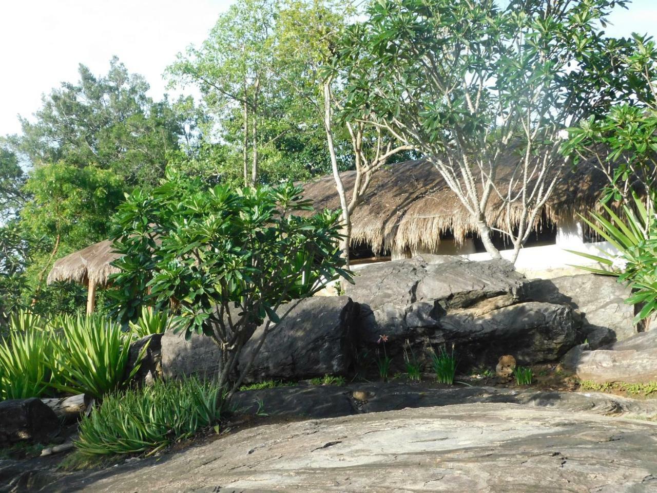 Buttala Galapita Eco Lodge المظهر الخارجي الصورة