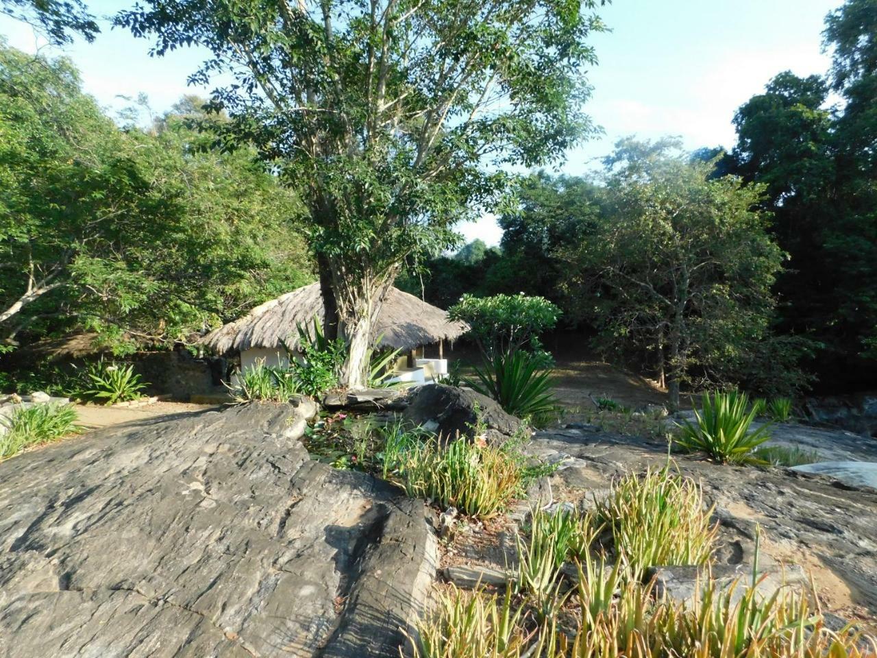 Buttala Galapita Eco Lodge الغرفة الصورة