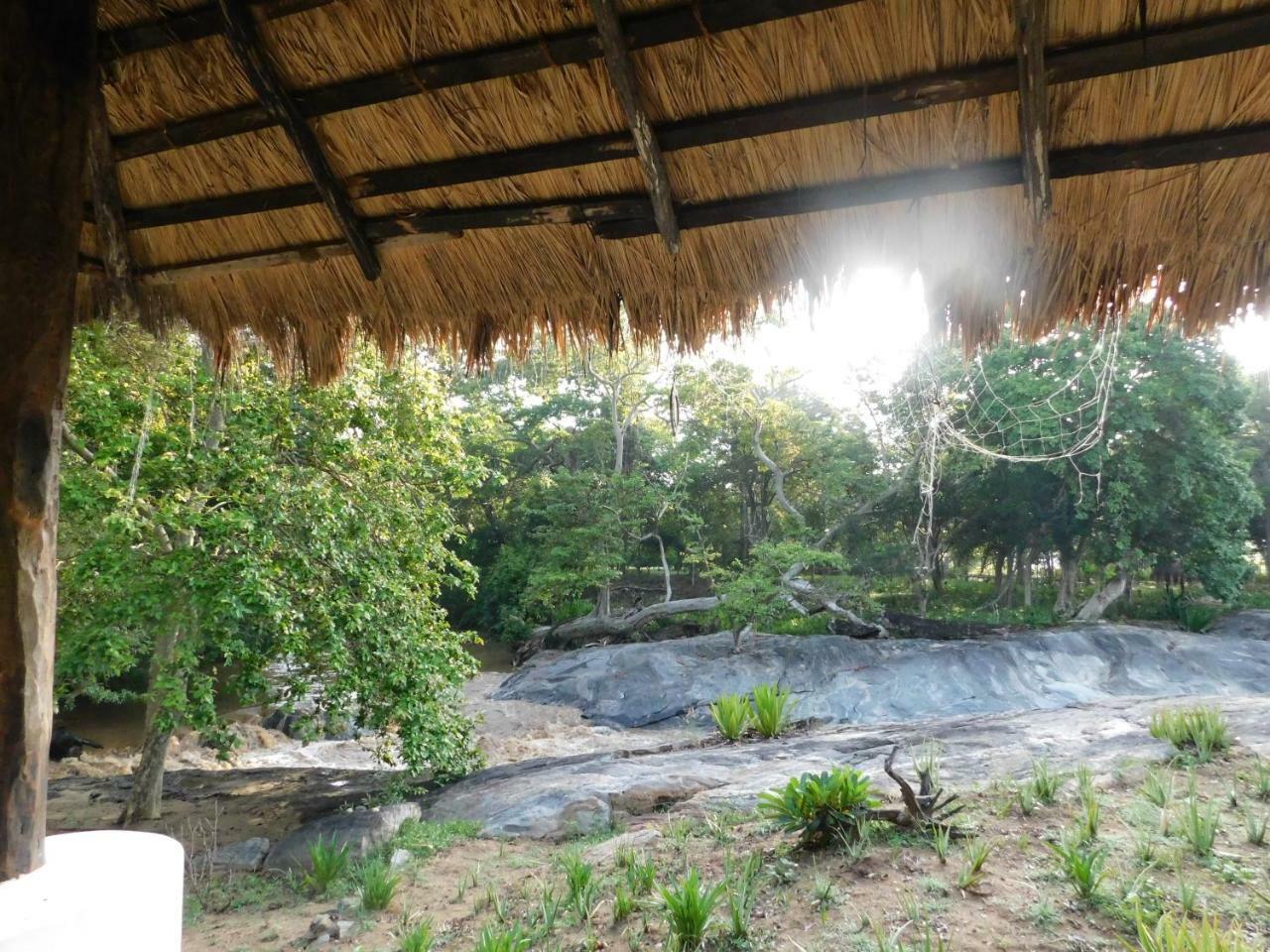 Buttala Galapita Eco Lodge الغرفة الصورة