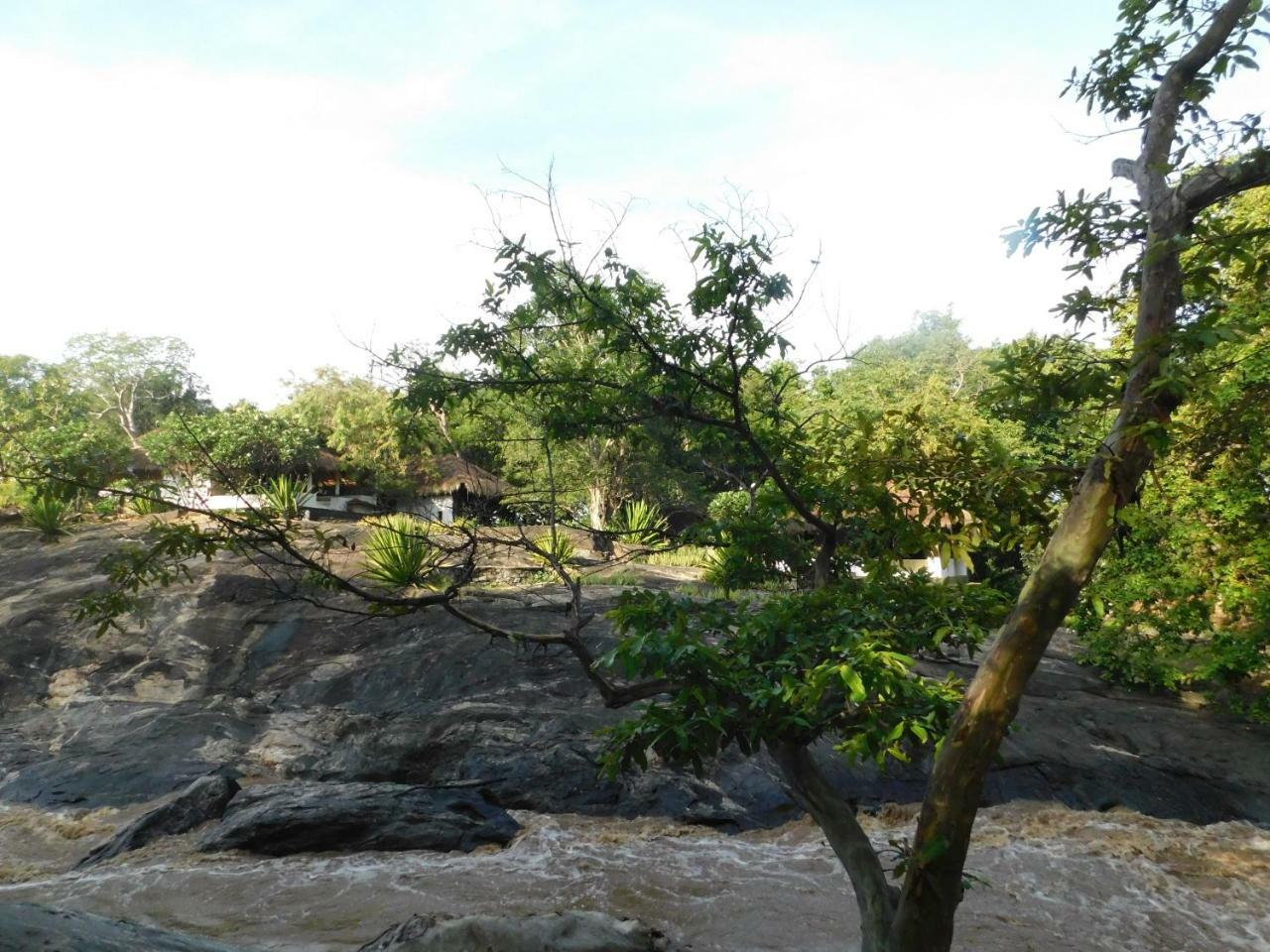 Buttala Galapita Eco Lodge الغرفة الصورة