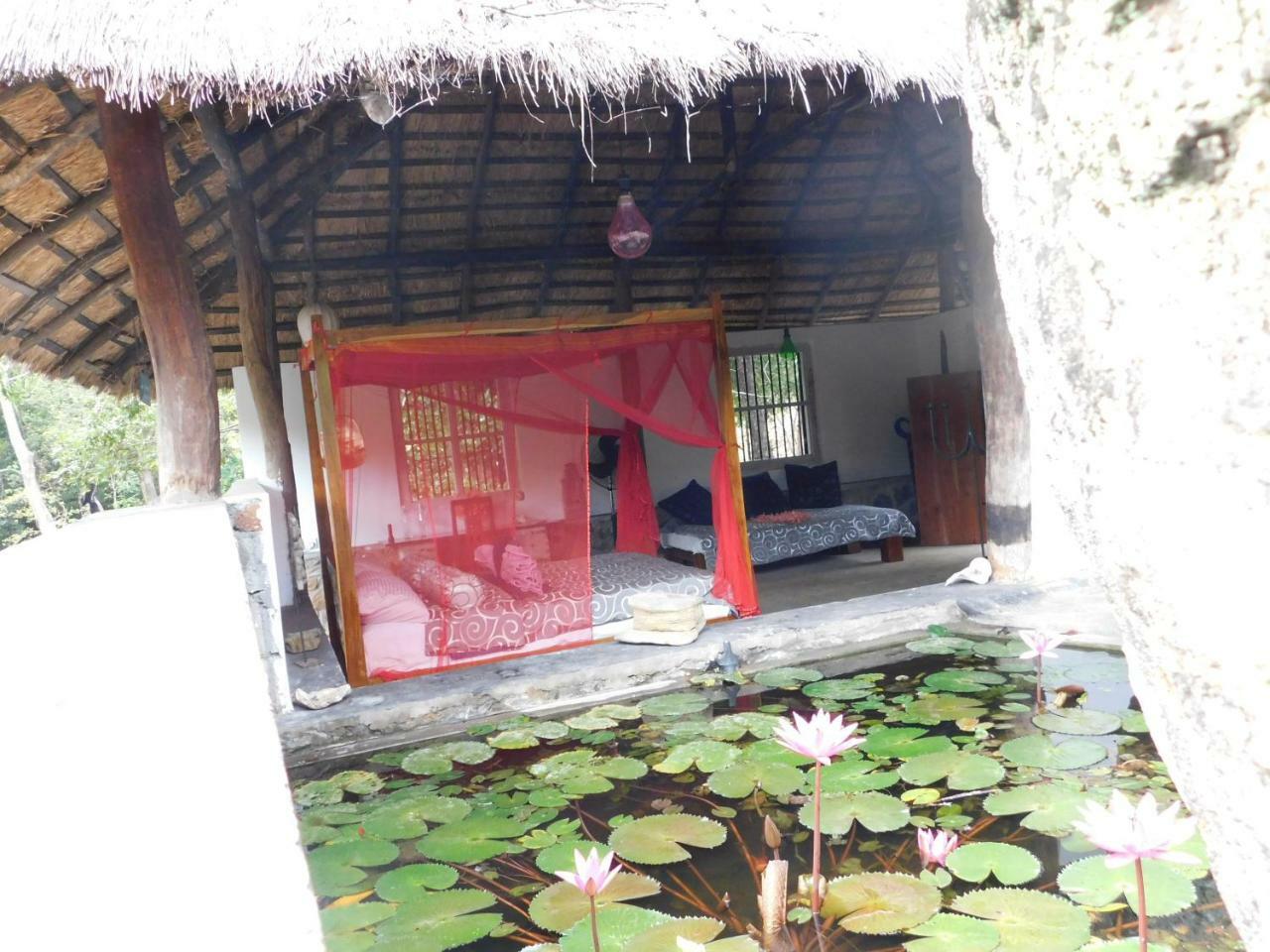 Buttala Galapita Eco Lodge المظهر الخارجي الصورة