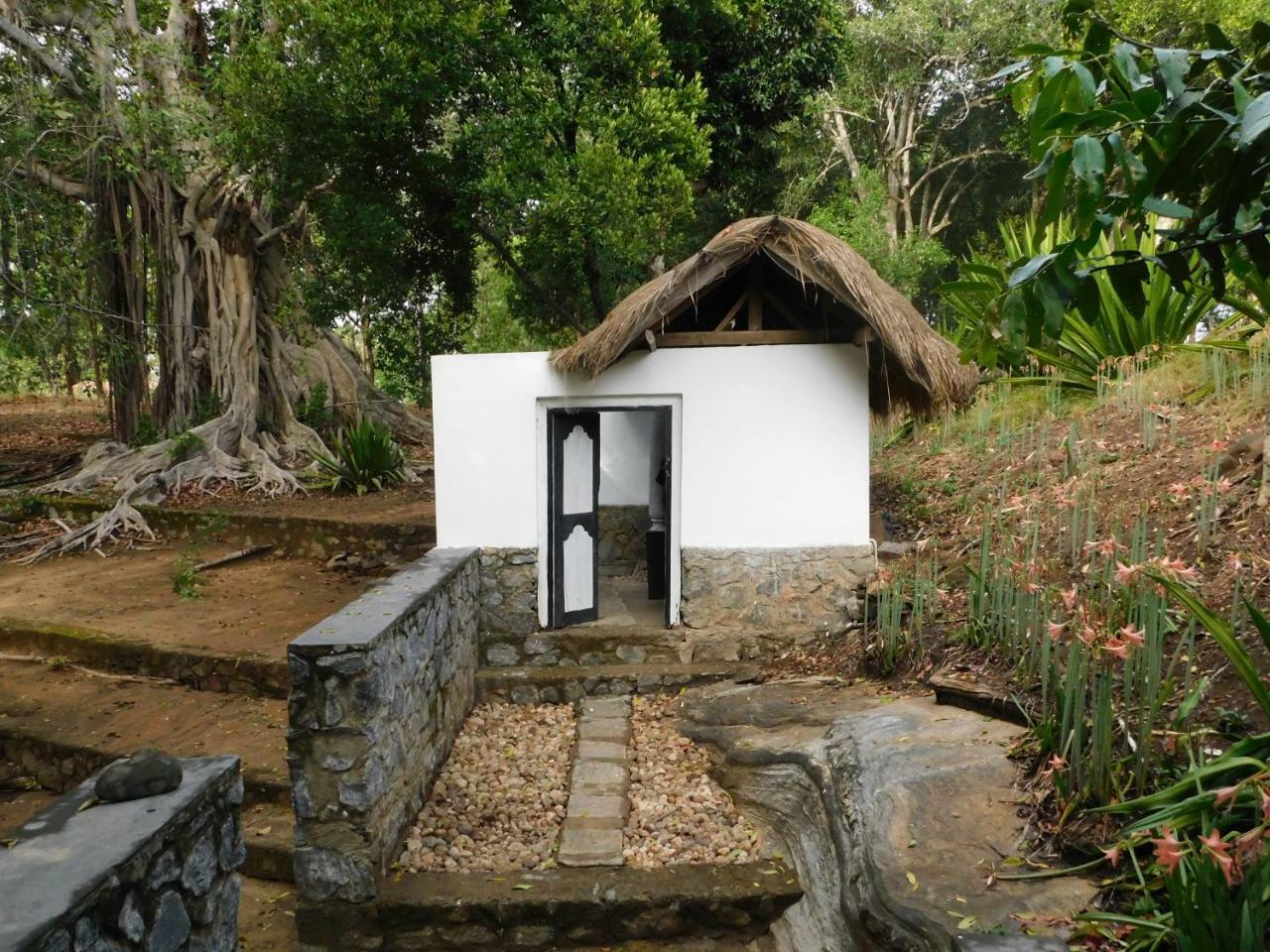 Buttala Galapita Eco Lodge المظهر الخارجي الصورة