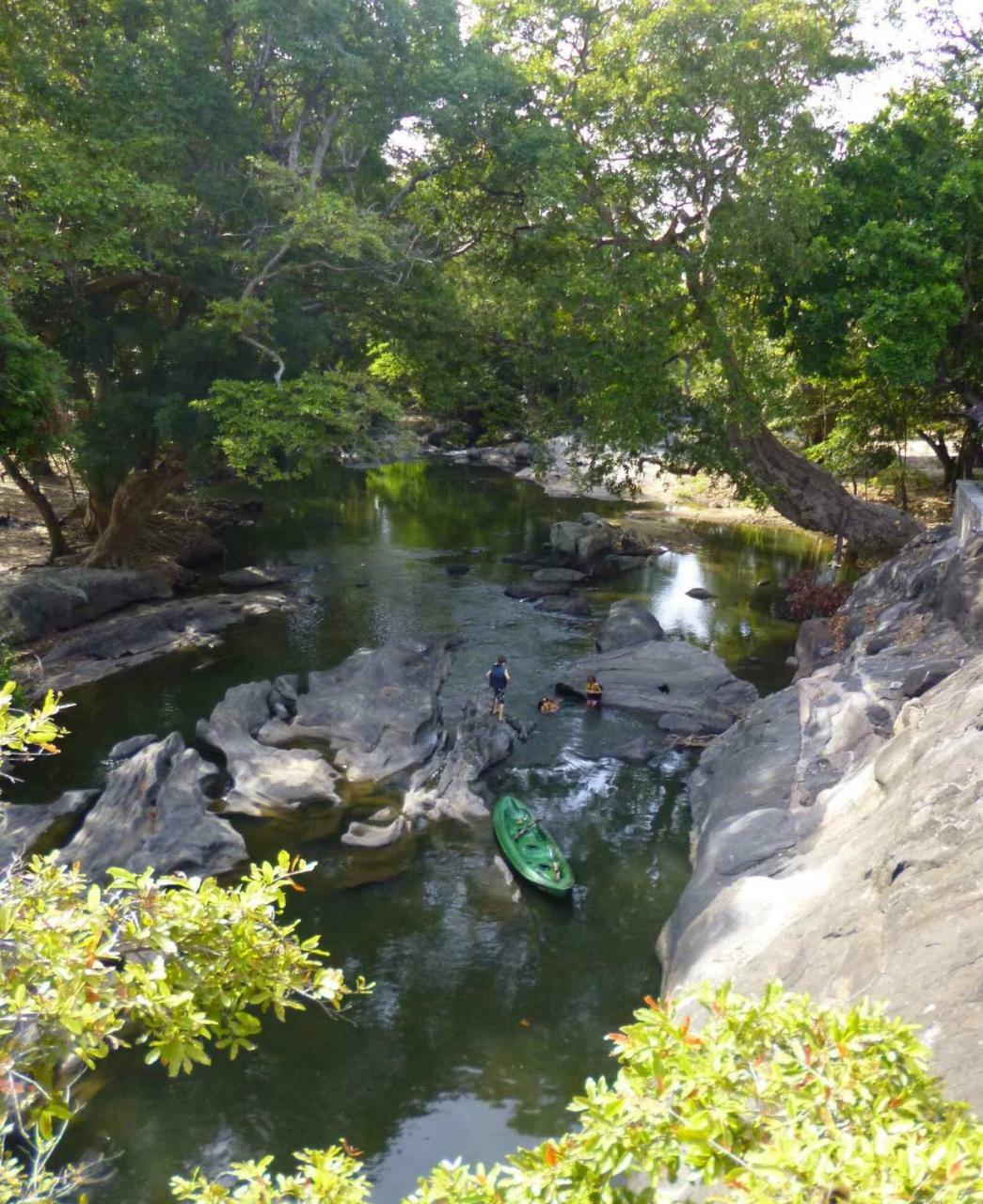 Buttala Galapita Eco Lodge المظهر الخارجي الصورة