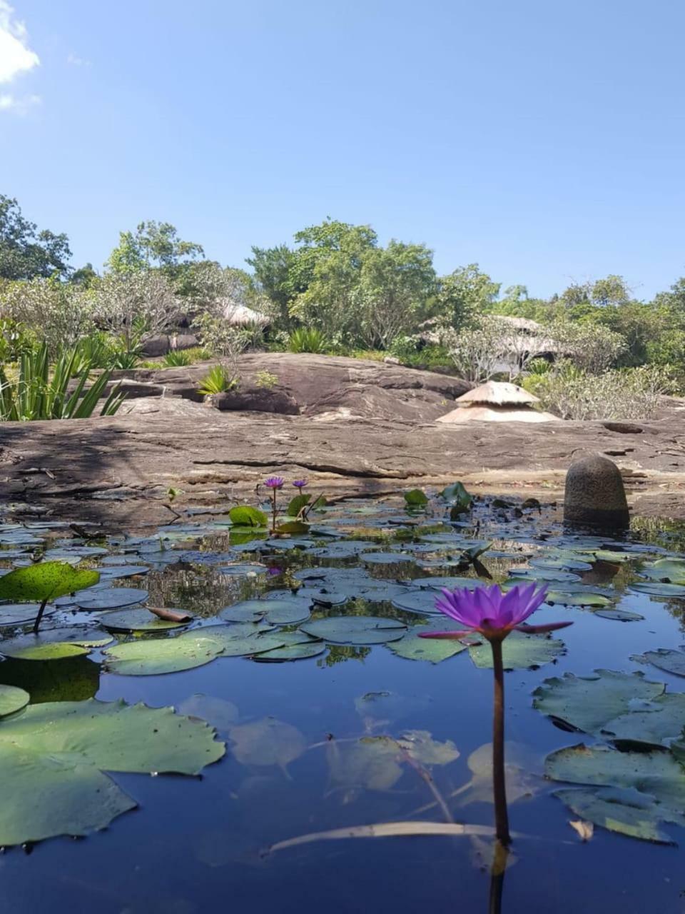 Buttala Galapita Eco Lodge المظهر الخارجي الصورة