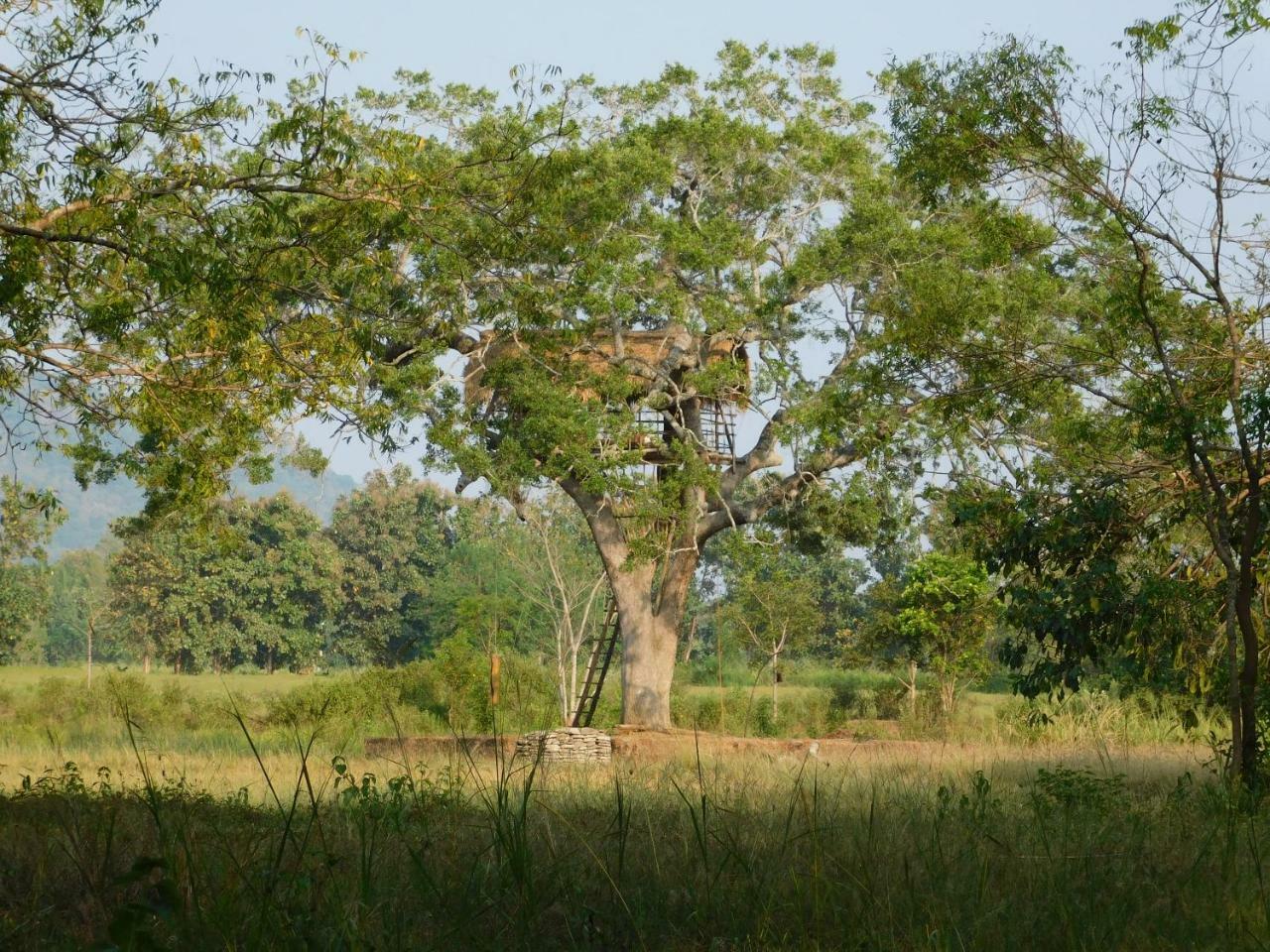 Buttala Galapita Eco Lodge المظهر الخارجي الصورة