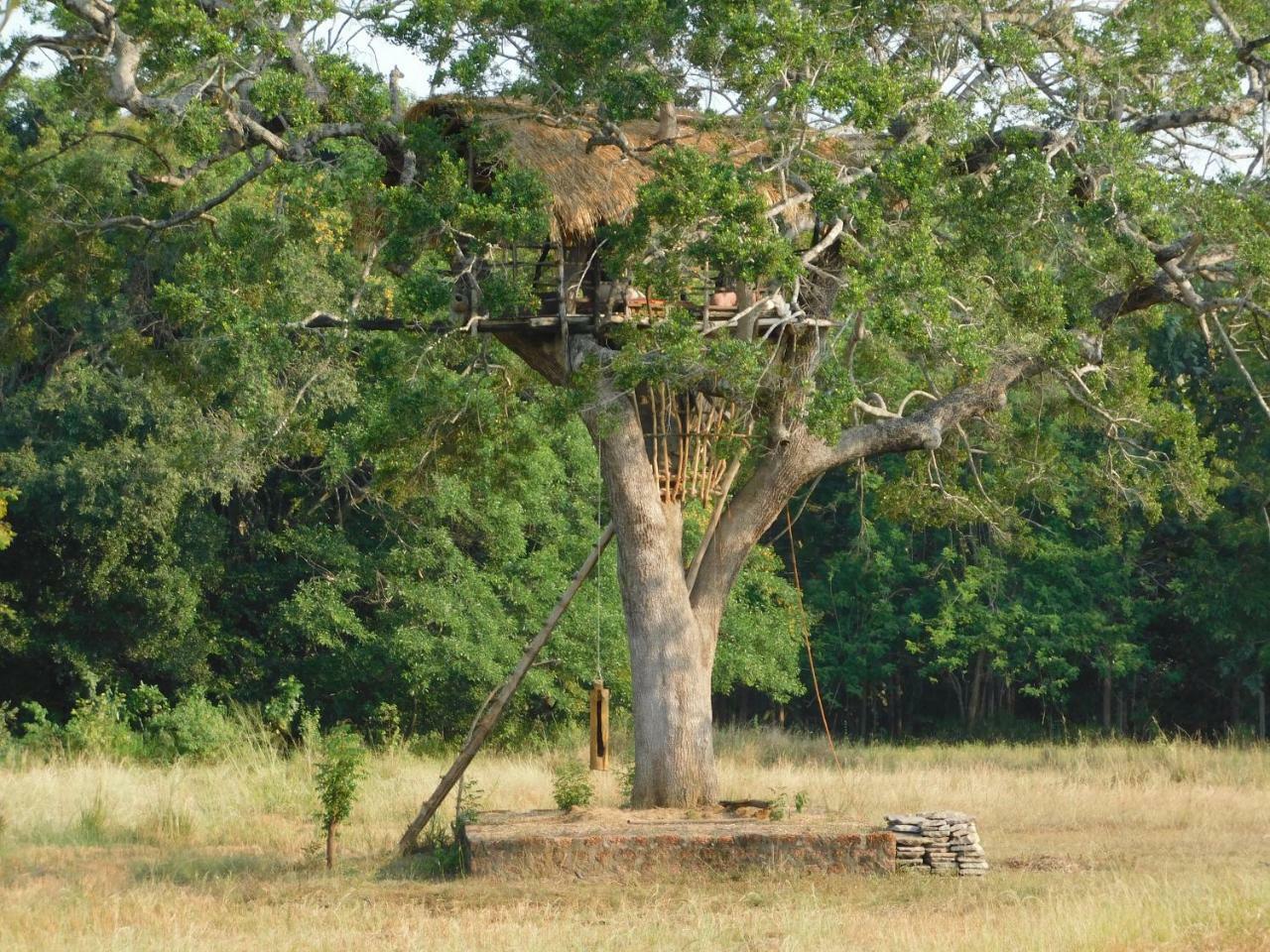 Buttala Galapita Eco Lodge المظهر الخارجي الصورة