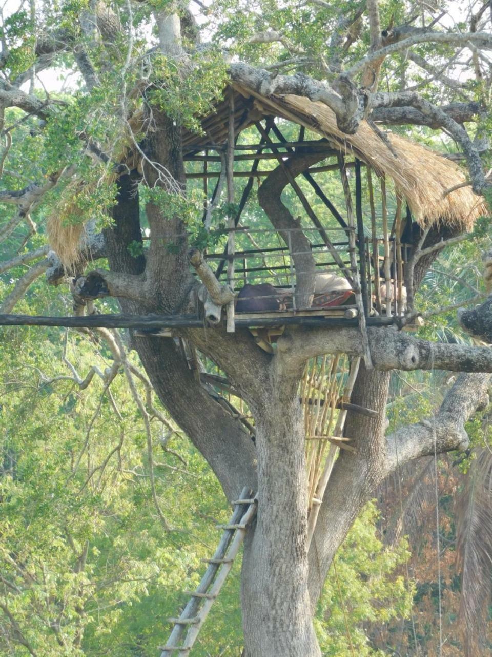 Buttala Galapita Eco Lodge المظهر الخارجي الصورة